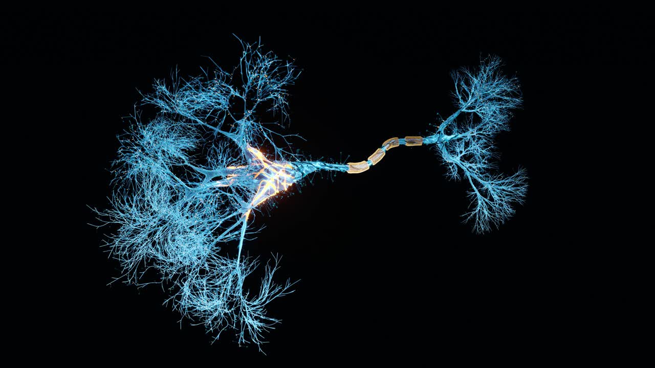 神经元的全息图视频下载
