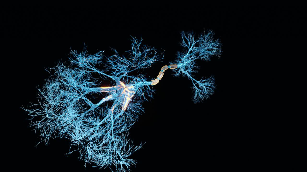 神经元的全息图视频素材