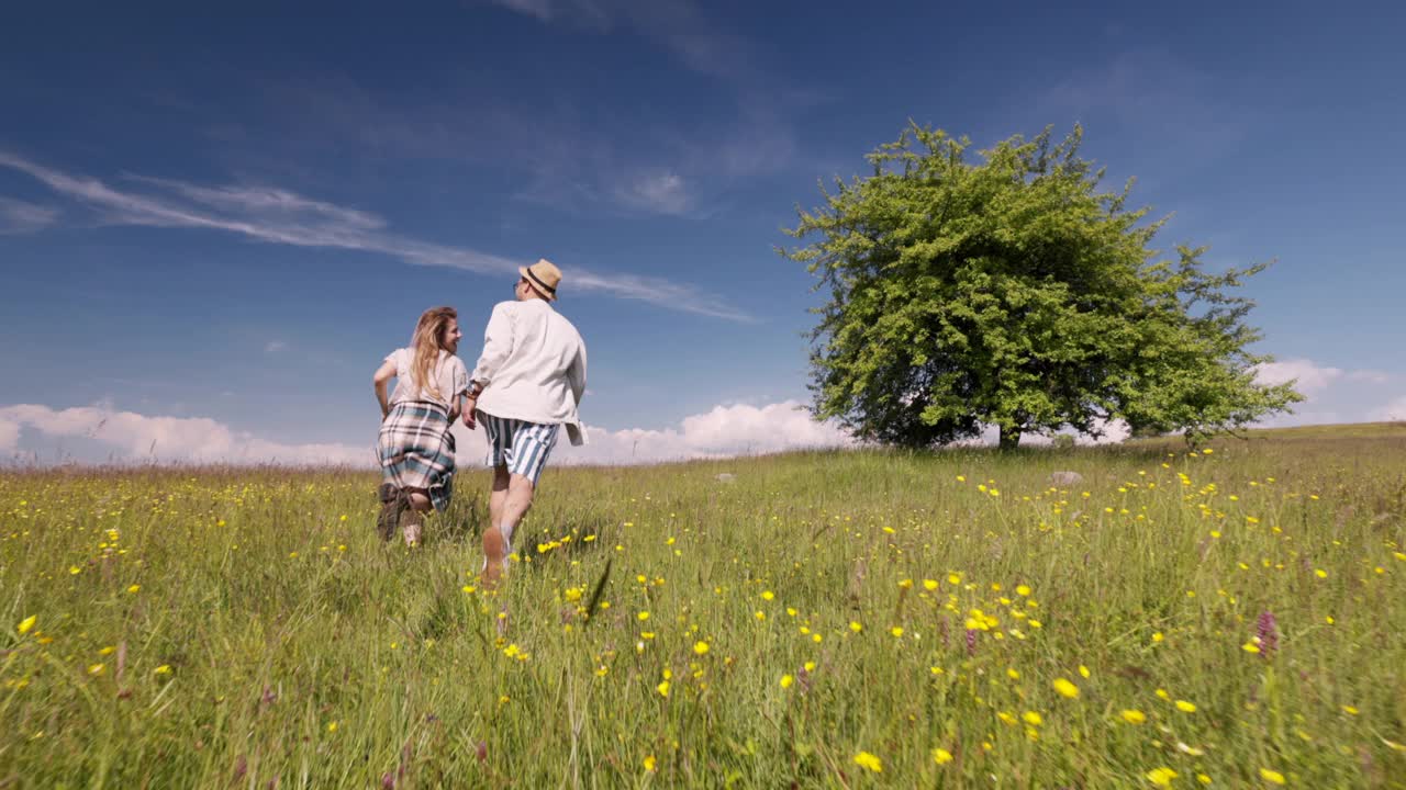 快乐的夫妇一起在草地上跑步的背影。视频素材