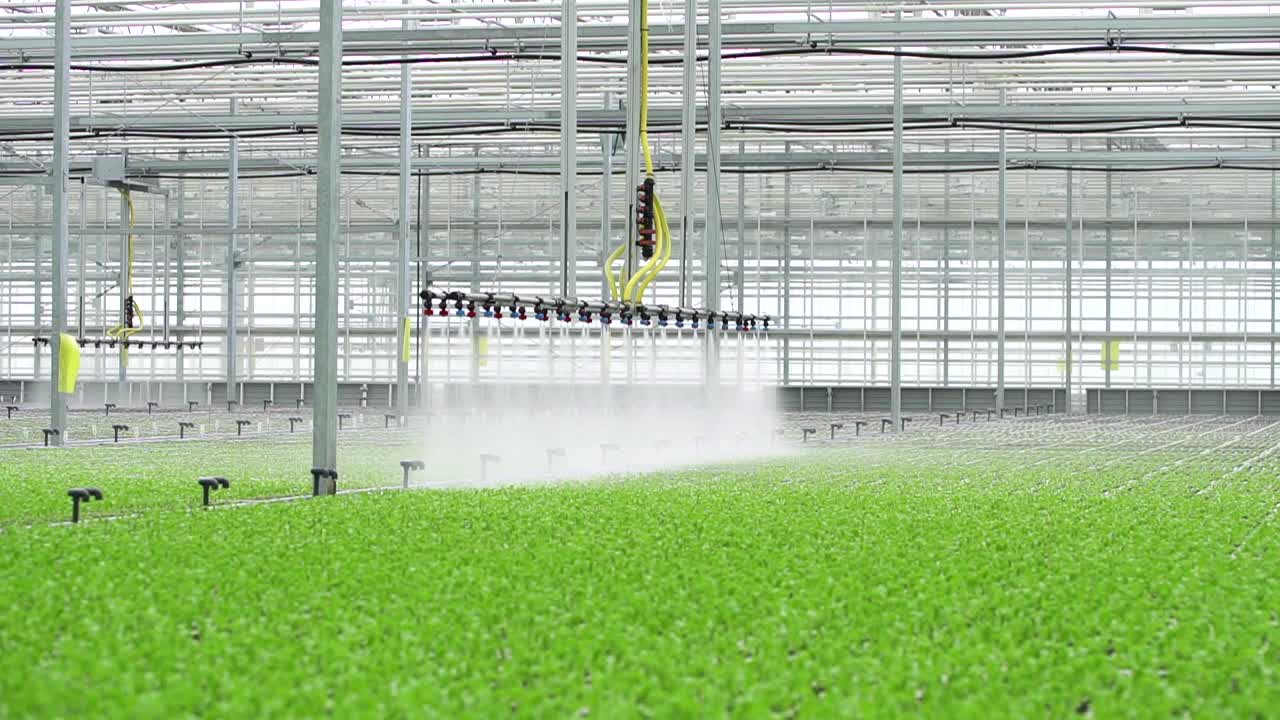 采用现代技术控制的温室水农业系统视频下载