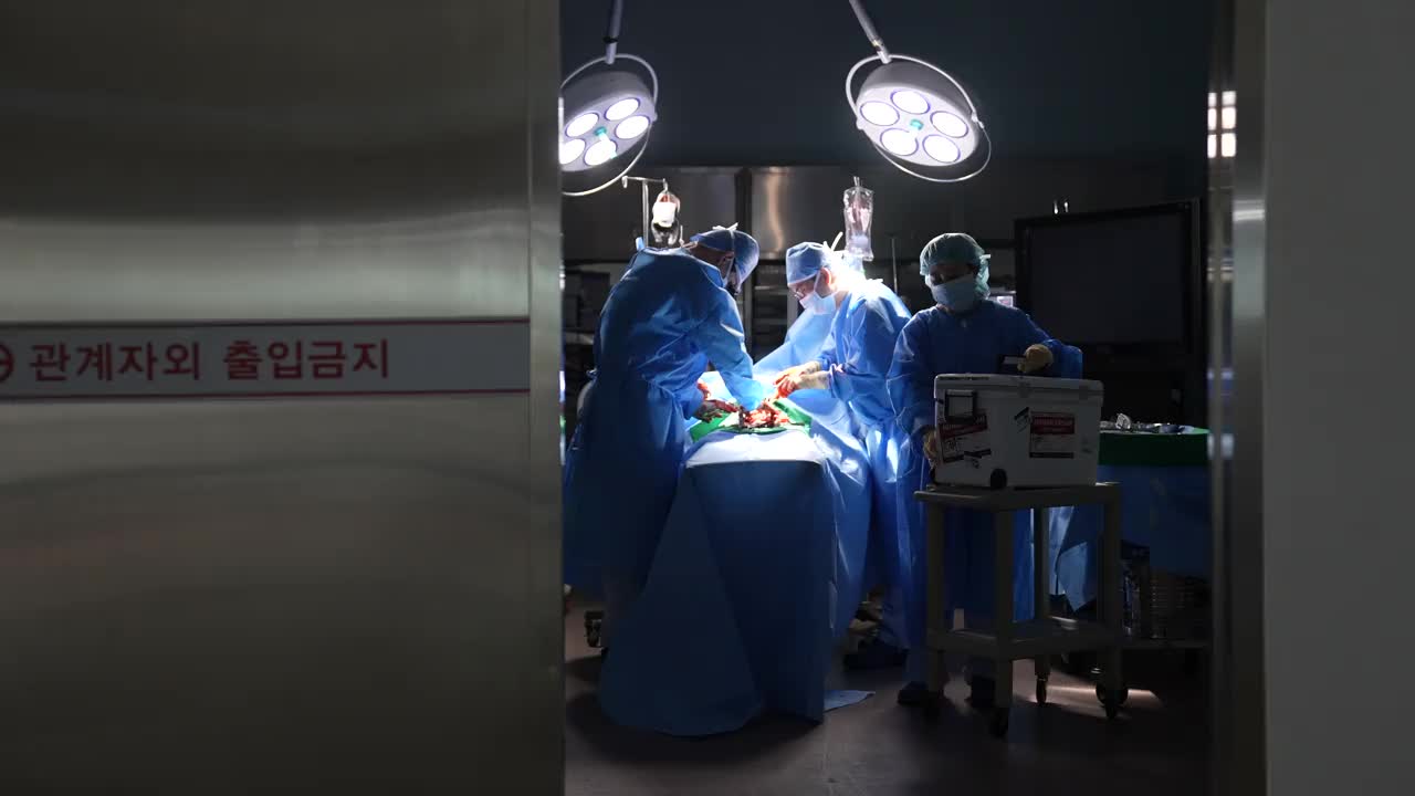 医疗。将猪心脏移进移植内脏器官的盒子，跑出手术室的情景视频下载