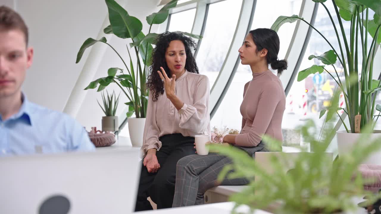20岁的印度女性在会议间歇与西班牙裔中年女同事交谈视频素材