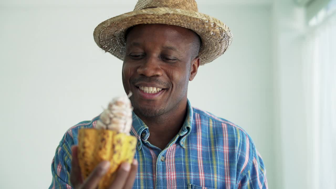 一位非洲黑人农民在农场里拿着成熟的可可水果。视频下载