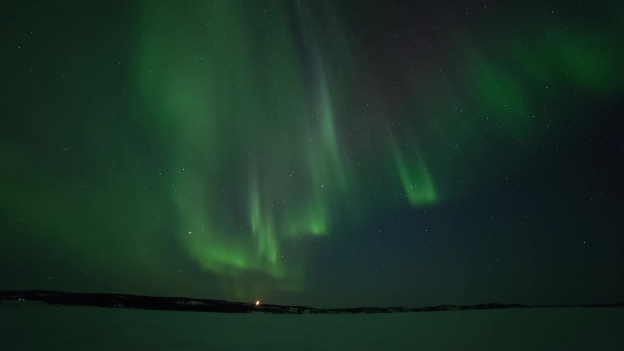 加拿大不列颠哥伦比亚省夜间拍摄的北极光下被雪覆盖的景观视频下载