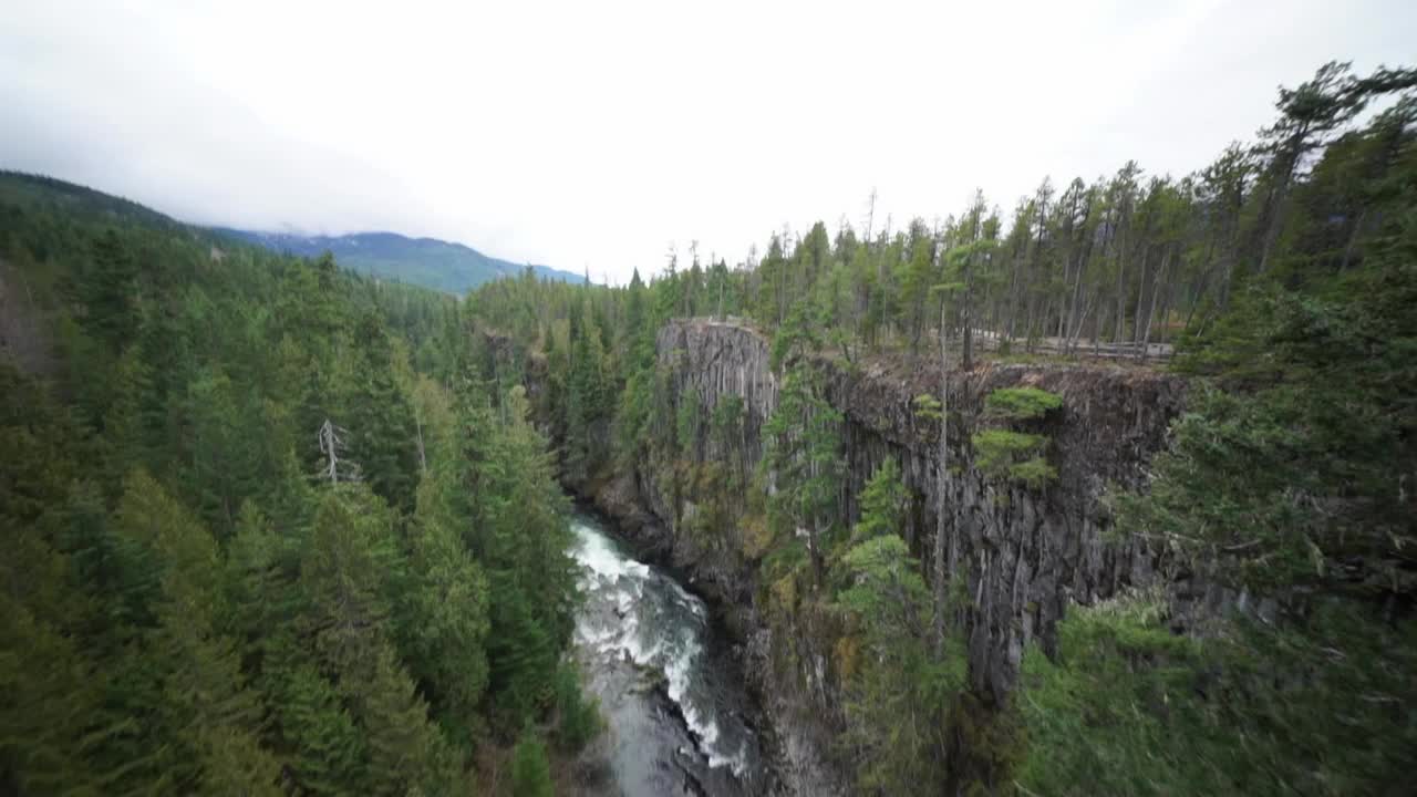 加拿大不列颠哥伦比亚省，游客在度假期间在森林里蹦极视频下载