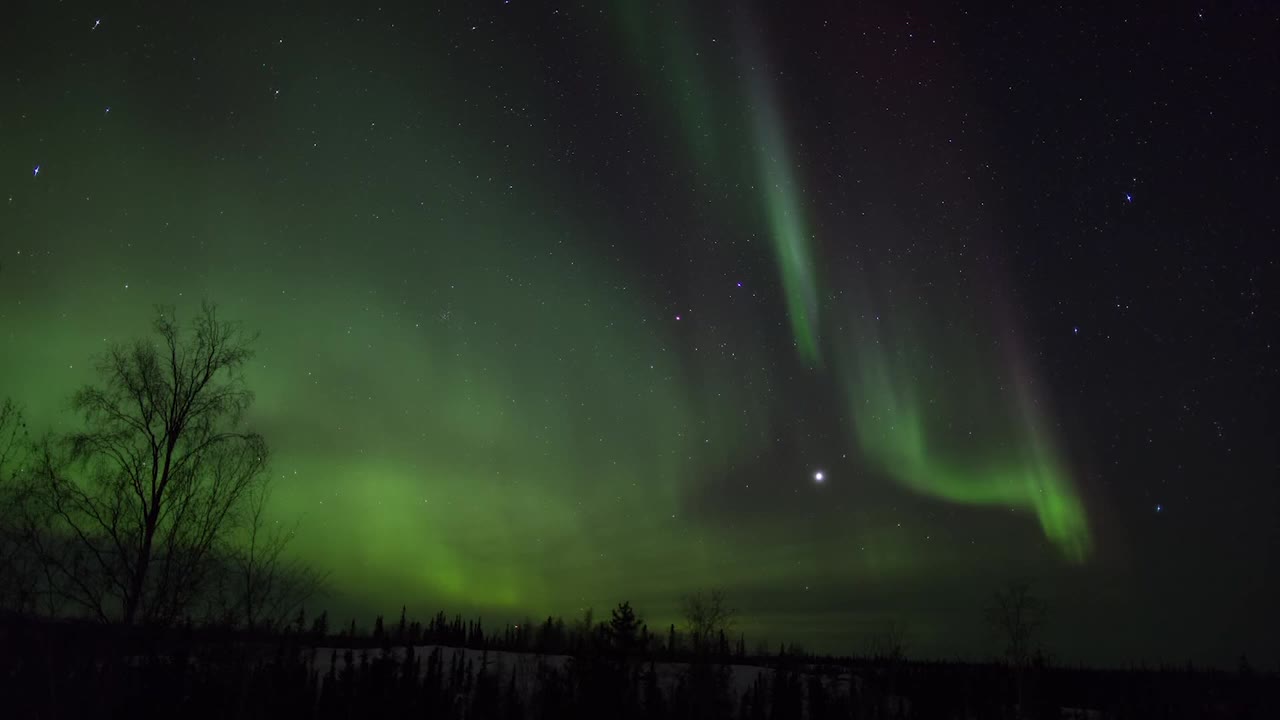 冬日里的北极光——加拿大不列颠哥伦比亚省视频素材