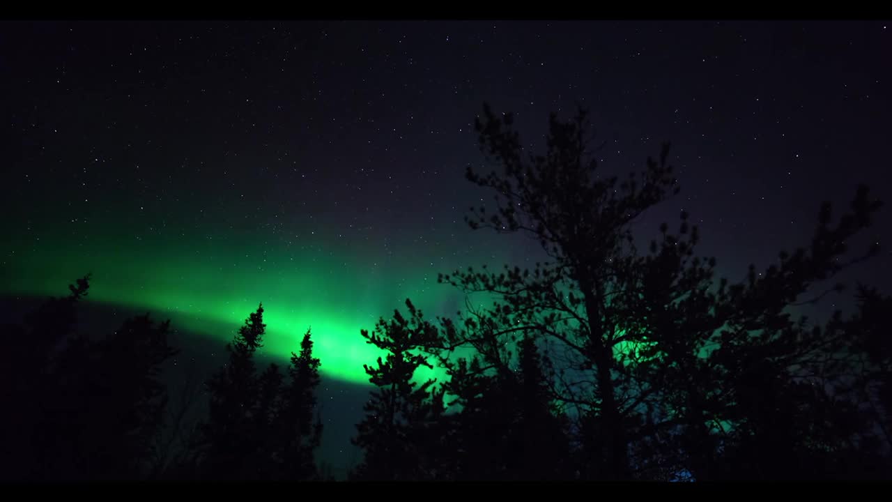 平移时间推移风景的绿色北极光在天空移动的树-不列颠哥伦比亚省，加拿大视频下载