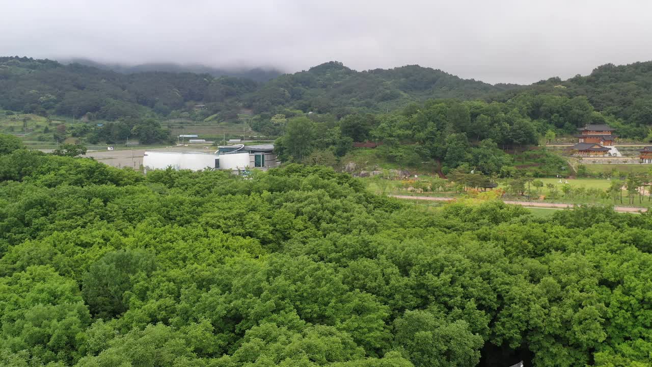 韩国,风景,佛,草药视频素材