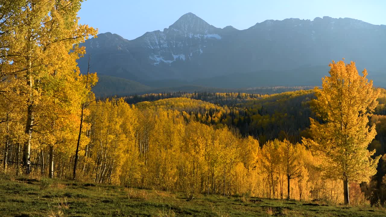秋天在威尔逊峰-一个秋天日落的观点，威尔逊峰包围着金色的白杨林。碲化,美国科罗拉多州。视频下载