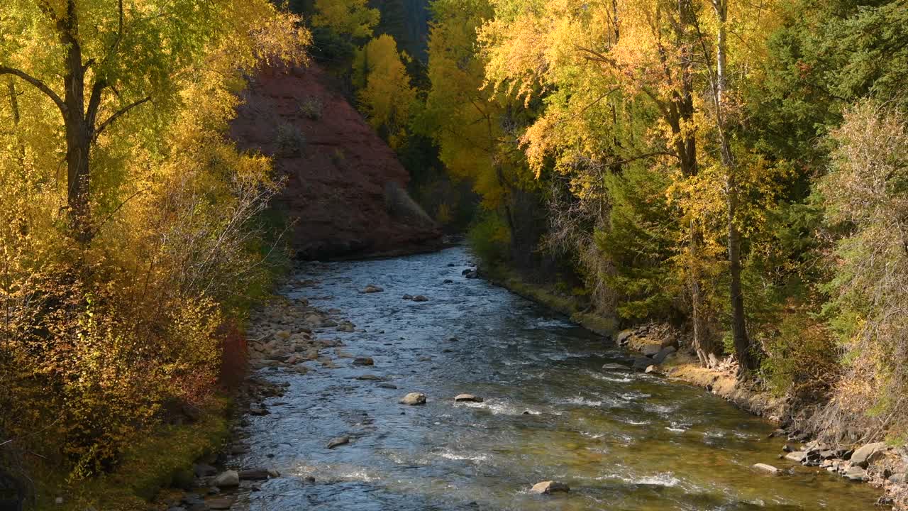 圣米格尔河-狭窄和岩石上的圣米格尔河蜿蜒在一个陡峭的峡谷在一个阳光明媚的秋天的一天。碲化,美国科罗拉多州。视频下载