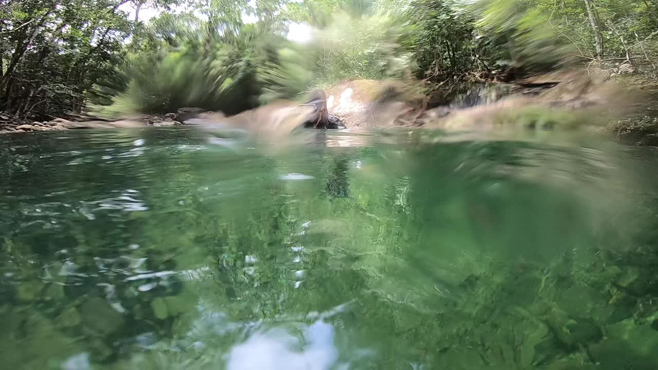 亚洲女子自由潜水在清澈的水。视频下载