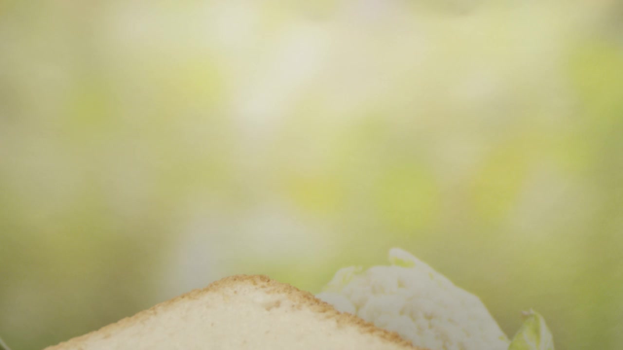 有手的花生酱果冻三明治放在一个有绿色背景的盘子上视频下载