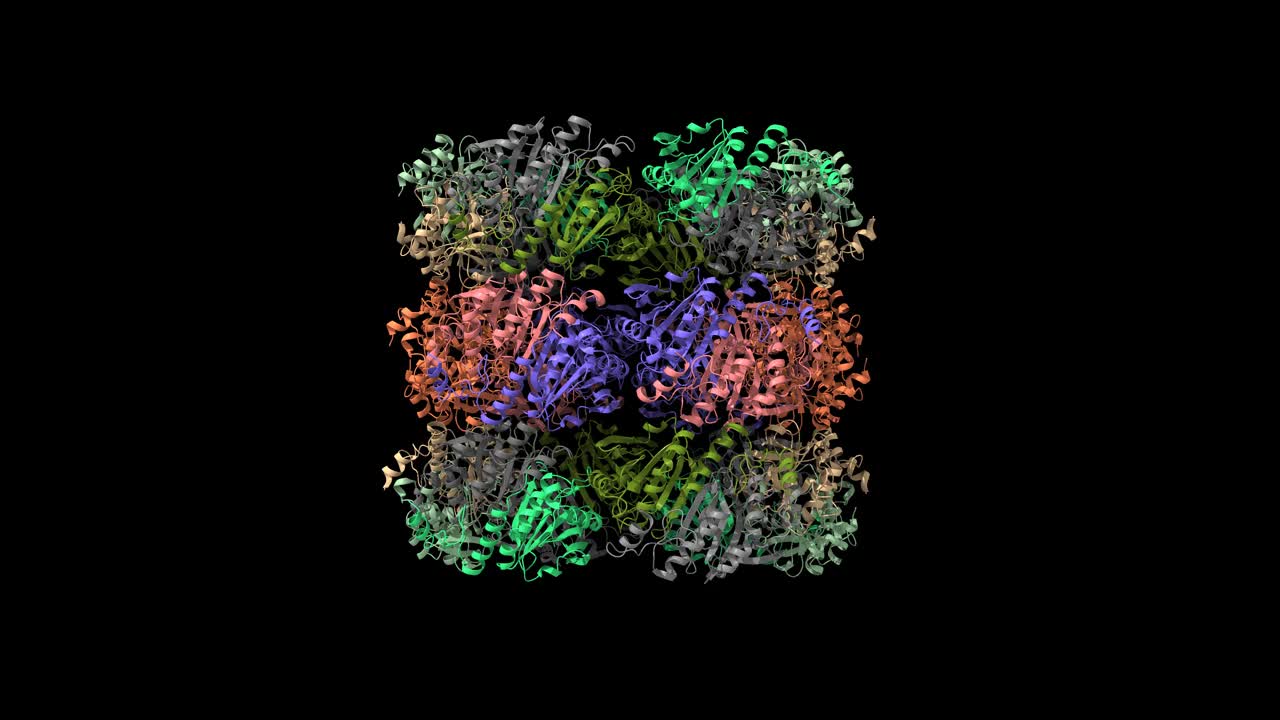 人过氧还蛋白3的结构为三个堆叠环视频素材