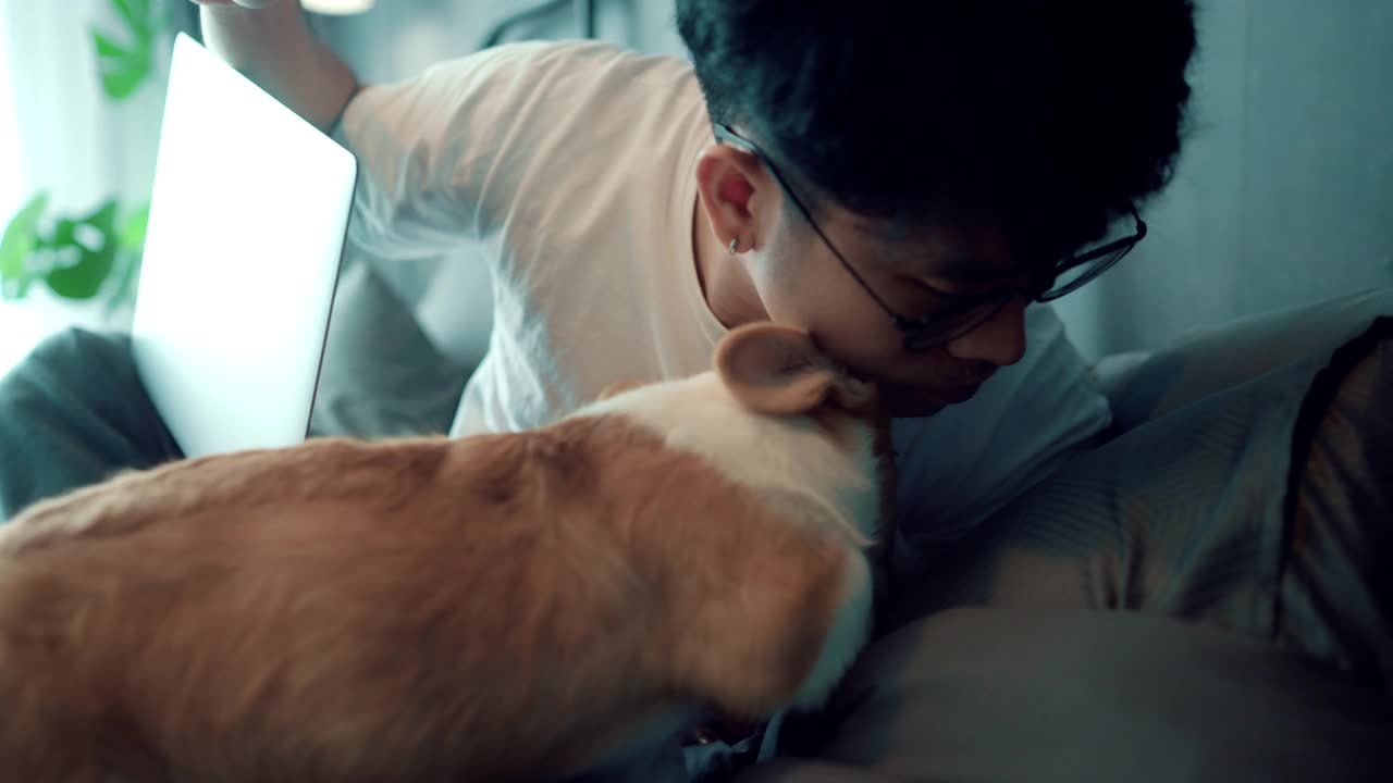 亚洲自由职业者在家里工作与他的狗。视频下载