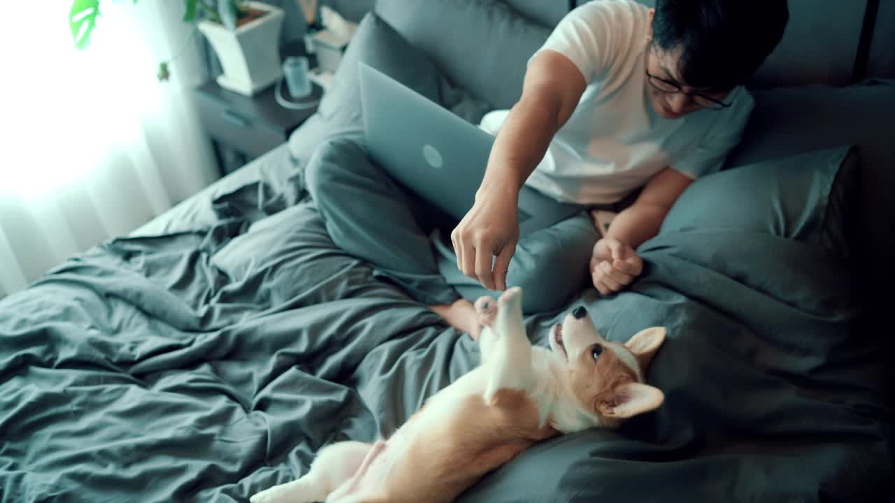 亚洲自由职业者在家里工作与他的狗。视频下载