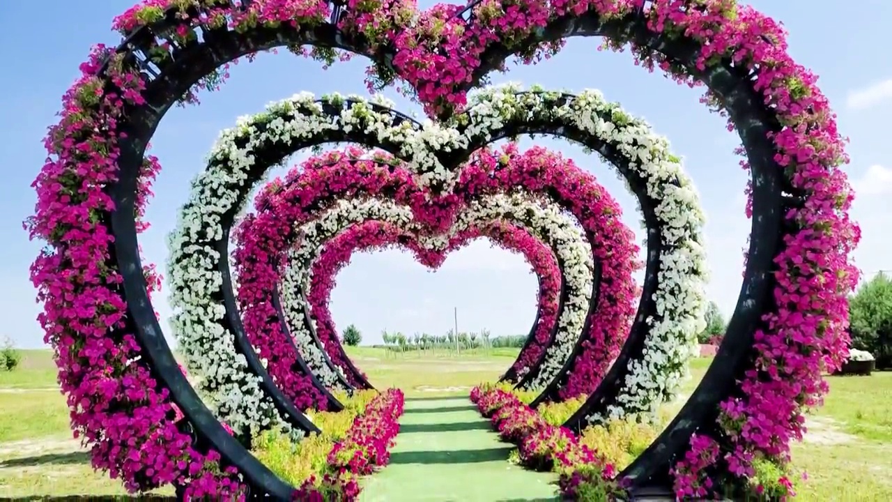 装饰节日拱门。婚礼装饰与自然鲜花花束为家庭宴会，装饰在花园仪式上的天空背景视频素材