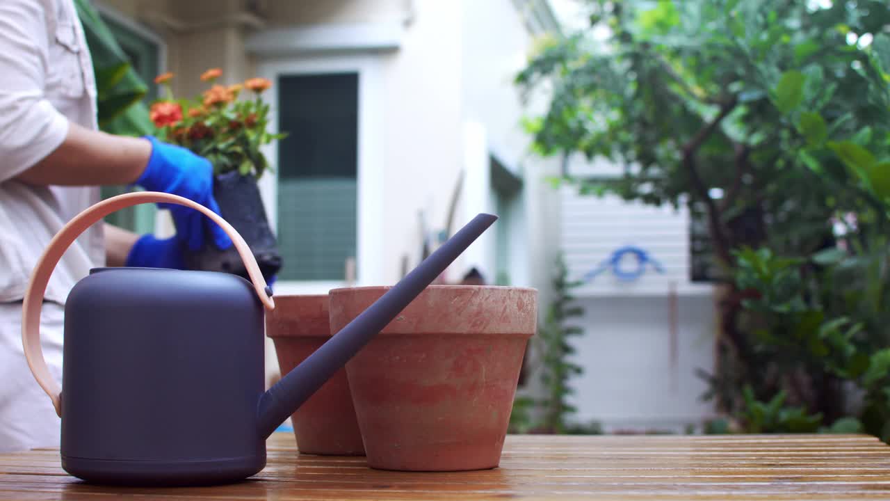 亚洲妇女，用喷壶浇植物视频素材