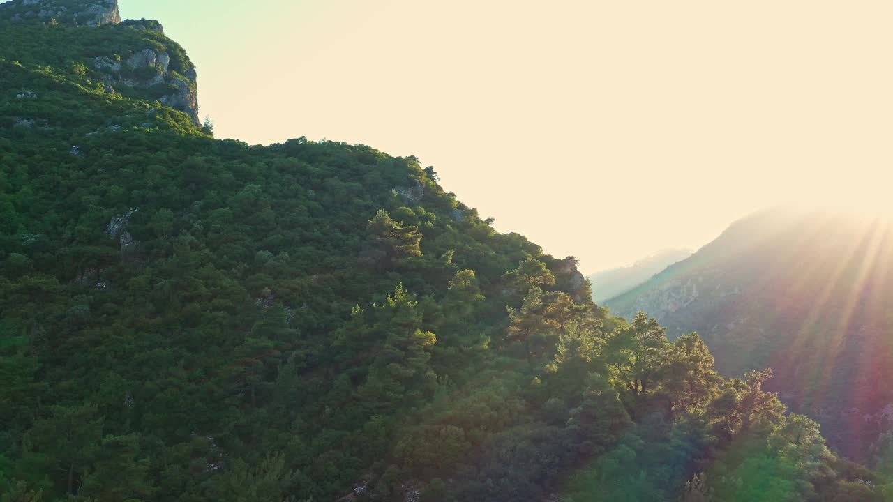 鸟瞰图的山和森林在日落视频下载