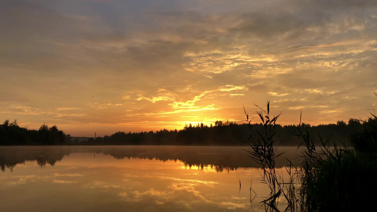 戏剧性的日落天空在湖面上反射，森林的轮廓在地平线上视频素材