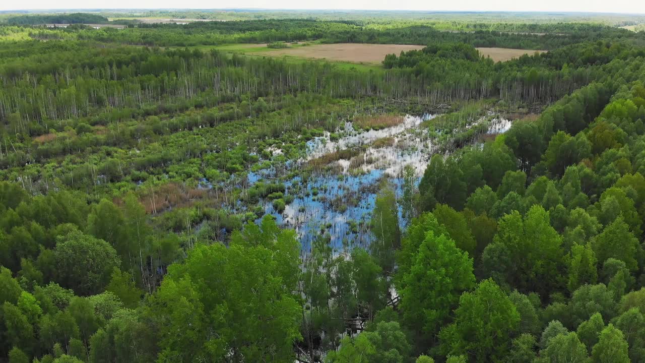被洪水淹没的平原原野和森林的野生景观。高空广角无人机在夏季洪水地区全景拍摄视频素材