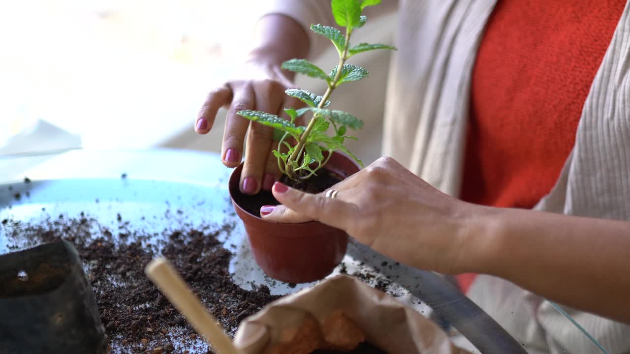 在家照顾植物的快乐女人视频素材