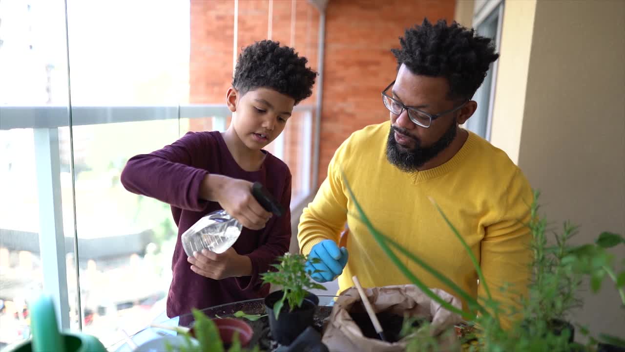 父子俩一起在家里给植物浇水视频素材