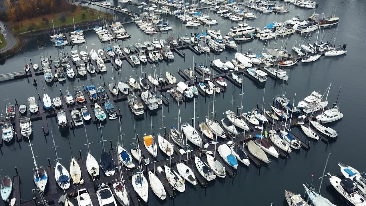 秋天的一天，从上往下看温哥华码头上的游艇和船只视频下载