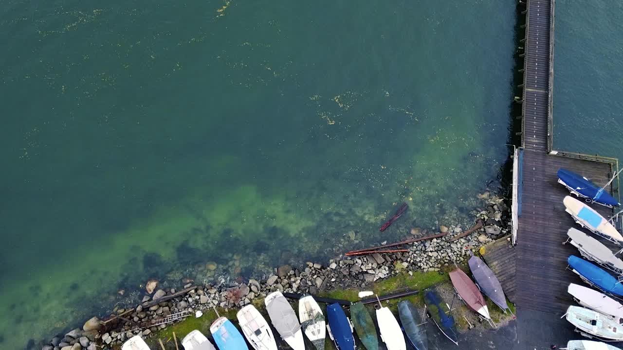 温哥华的住宅鸟瞰图在秋天靠近水视频素材