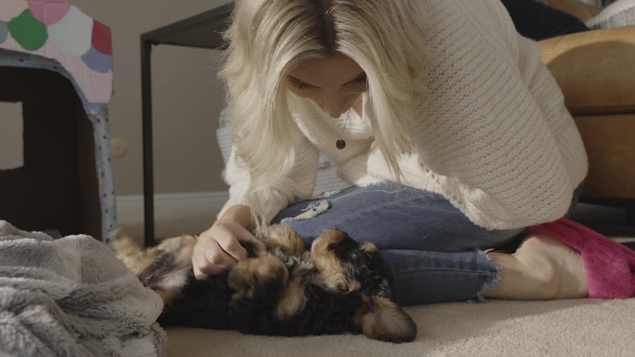 女人跪在地板上抚摸小狗的肚子/ Bountiful，犹他州，美国视频素材