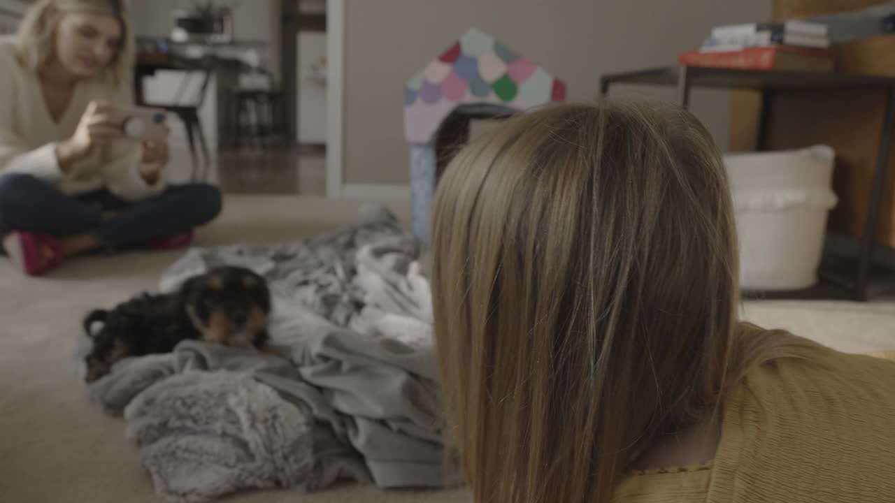母亲拍摄女儿和小狗在地板上玩耍/ Bountiful，犹他州，美国视频素材
