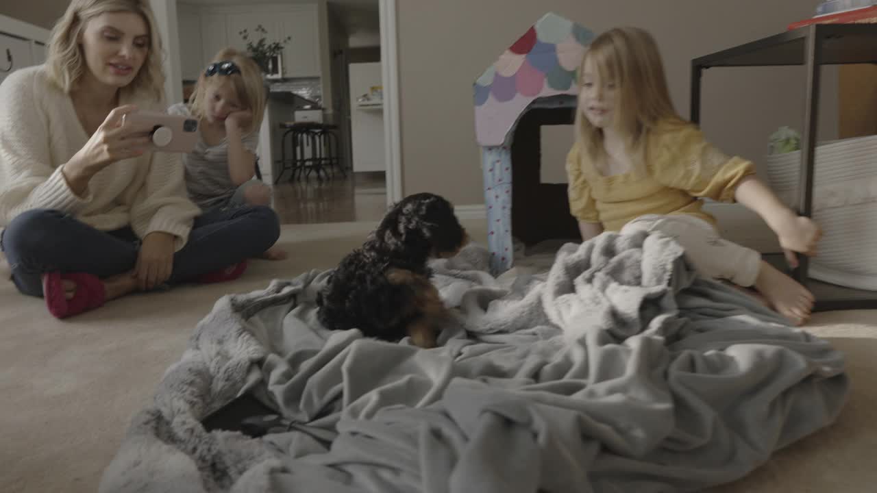母亲拍摄女儿和小狗在地板上玩耍/ Bountiful，犹他州，美国视频素材
