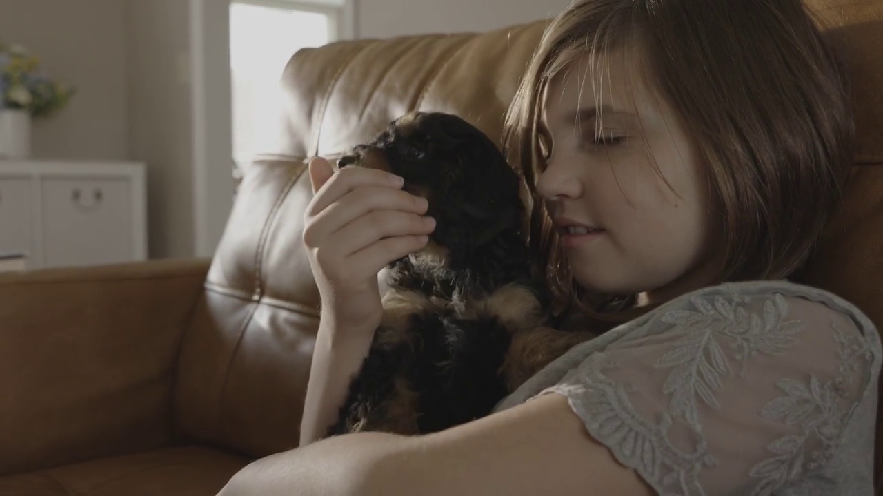 小狗舔女孩的脸/ Bountiful，美国犹他州视频下载