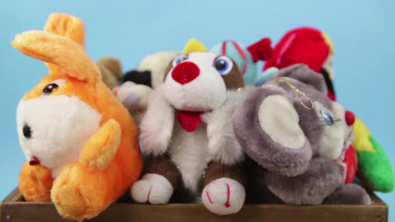 蓝色木制盒子里的毛绒玩具动物视频下载