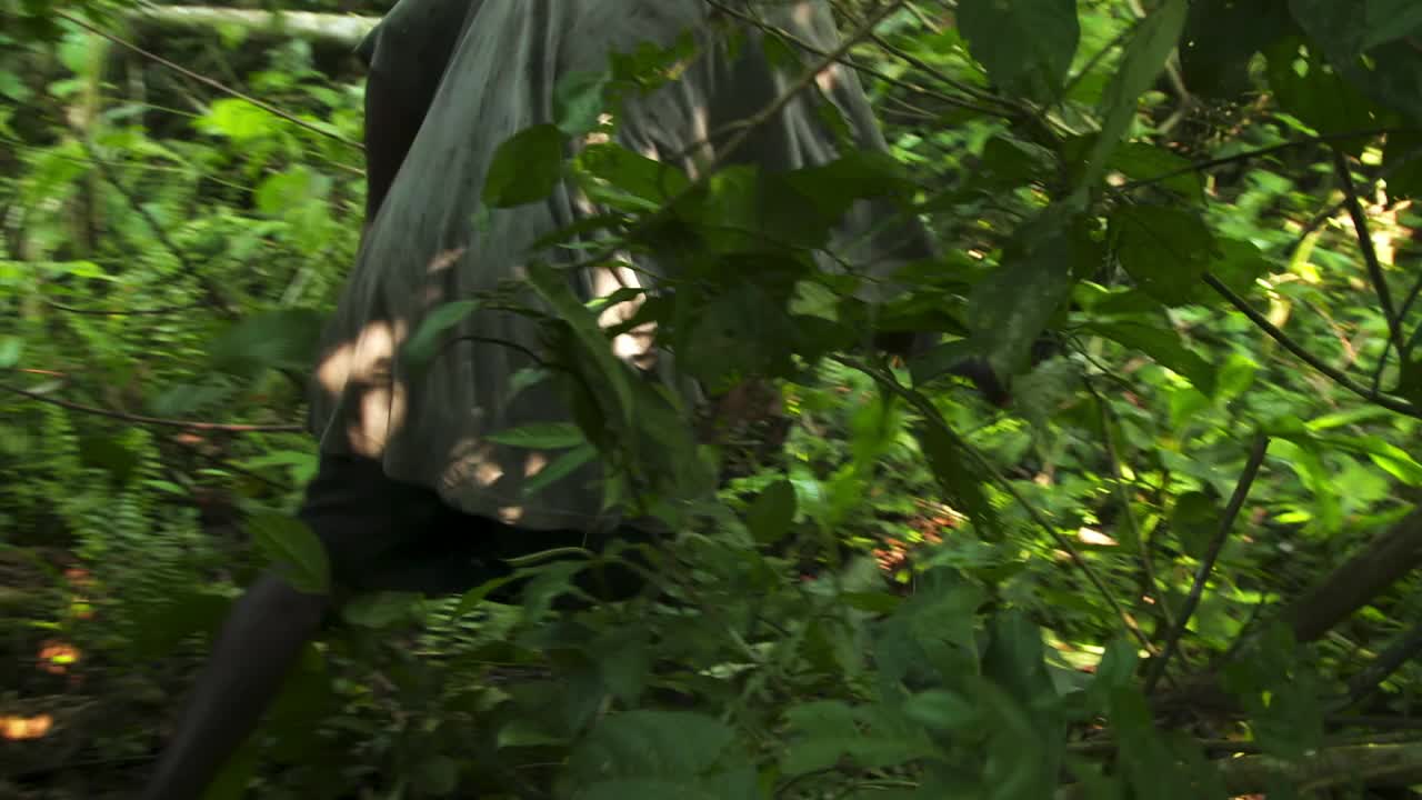 刚果民主共和国，一名男子用砍刀砍森林视频下载