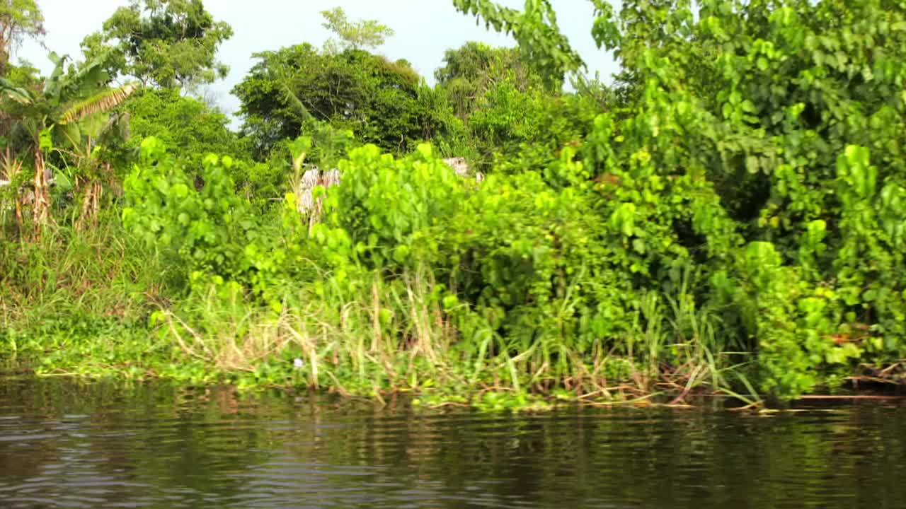 刚果民主共和国刚果河河岸的POV镜头视频下载