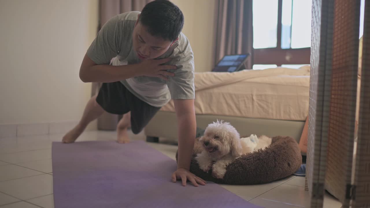 亚洲华人中年男子做俯卧撑，在家锻炼，晚上在卧室和他的狗一起用电子平板电脑锻炼视频下载