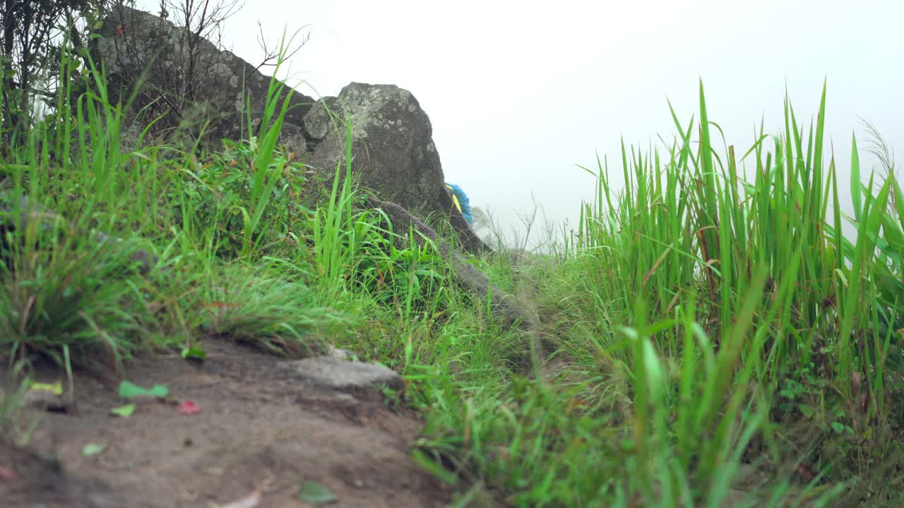 亚洲探险家，冒险家，女性背包客在恶劣的天气下独自徒步旅行的热带森林，在泰国的雨季，雾覆盖了所有的山峰，包括下雨，寒风。视频素材