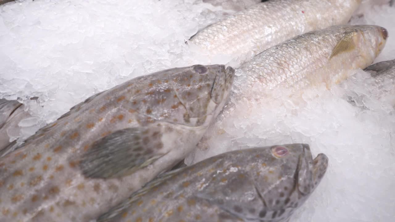 在鱼市场的超级市场，新鲜的冰镇石斑鱼。视频下载