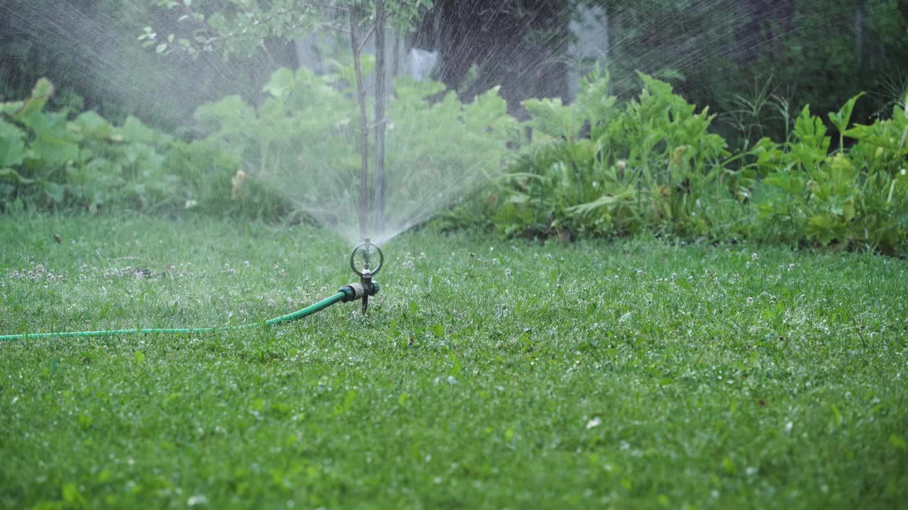 花园的灌溉，草坪的喷灌。视频素材