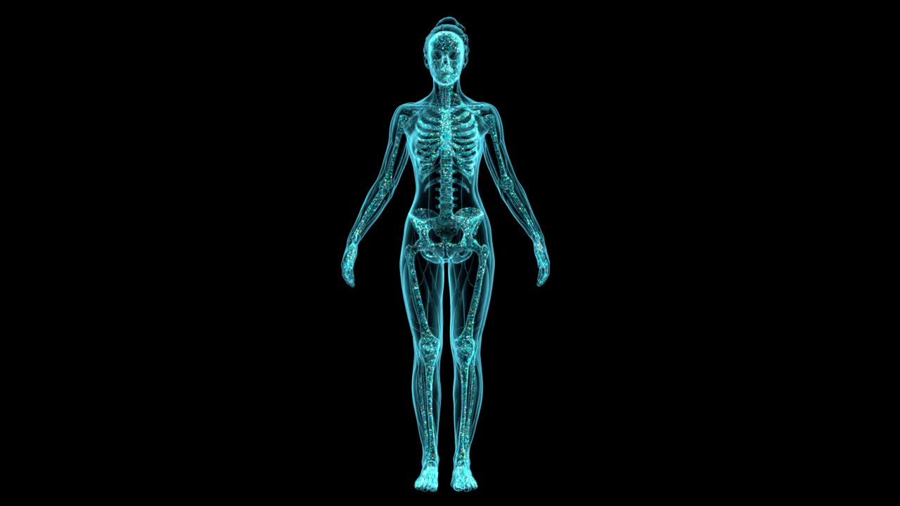 一个女性骨骼的数字全息模型，用全长度x射线，围绕其轴旋转360度，循环动画。视频下载
