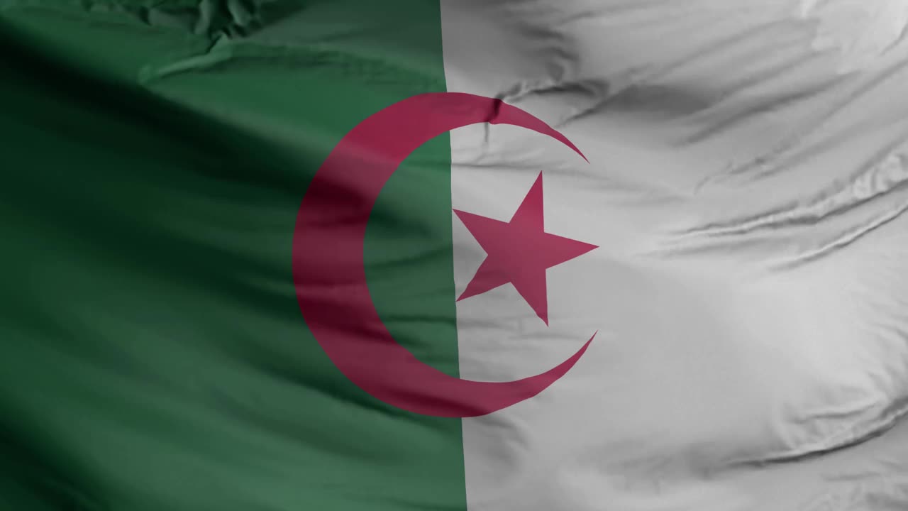阿尔及利亚国旗无缝特写挥舞动画。阿尔及利亚背景:3D渲染，4k分辨率视频下载