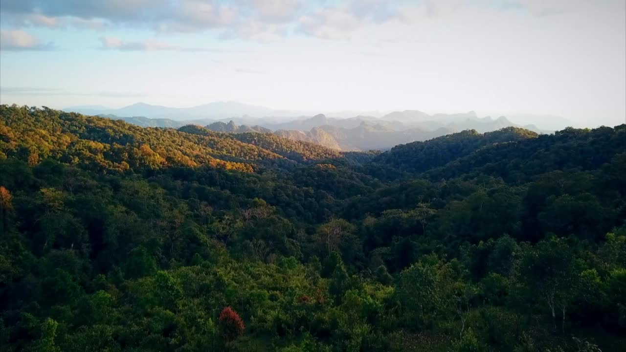 缅甸掸邦空中森林高地视频下载