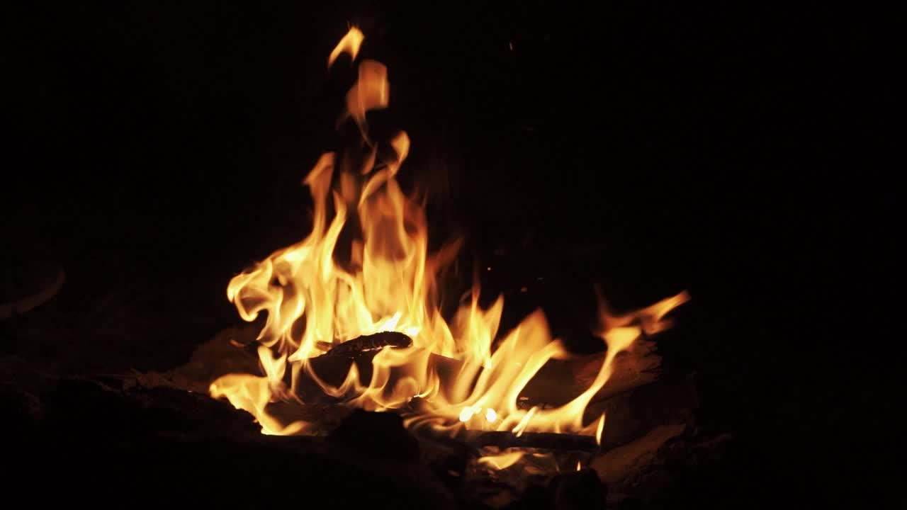 夜晚森林里浪漫的篝火。围绕火堆真诚的会面。视频下载