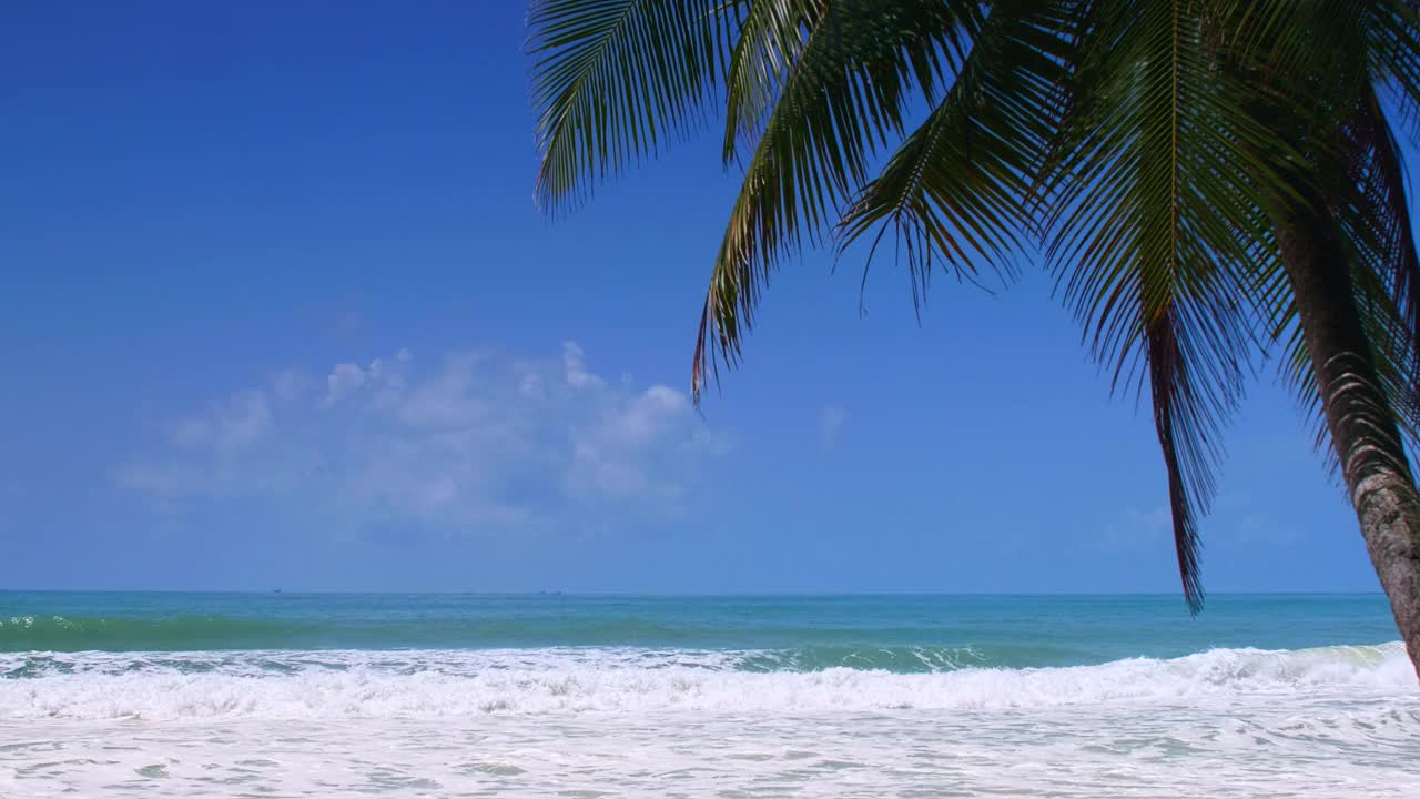 椰子树和热带海洋夏季度假和热带海滩的概念椰子树生长在白色的沙滩上，在泰国普吉岛自由海滩前的孤独椰子树。垂直图视频素材