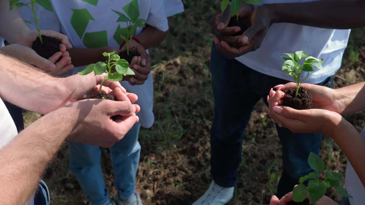 绿化地球，一群志愿者和生态活动者手中拿着一棵小树，一幅特写在手，隐喻的行动，大自然就在我们手中，拯救大自然，4k慢镜头。视频素材