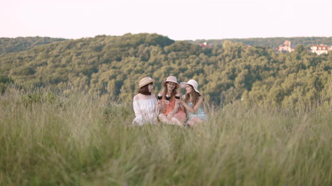 三个微笑的女孩，碰着红酒，坐在格子毯子上野餐视频下载