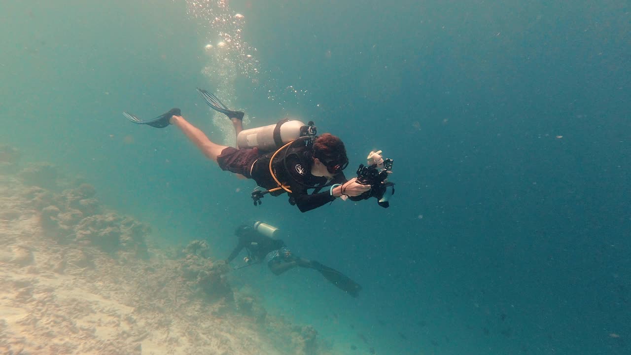 戴水肺的潜水员在水下拍摄海洋生物视频素材