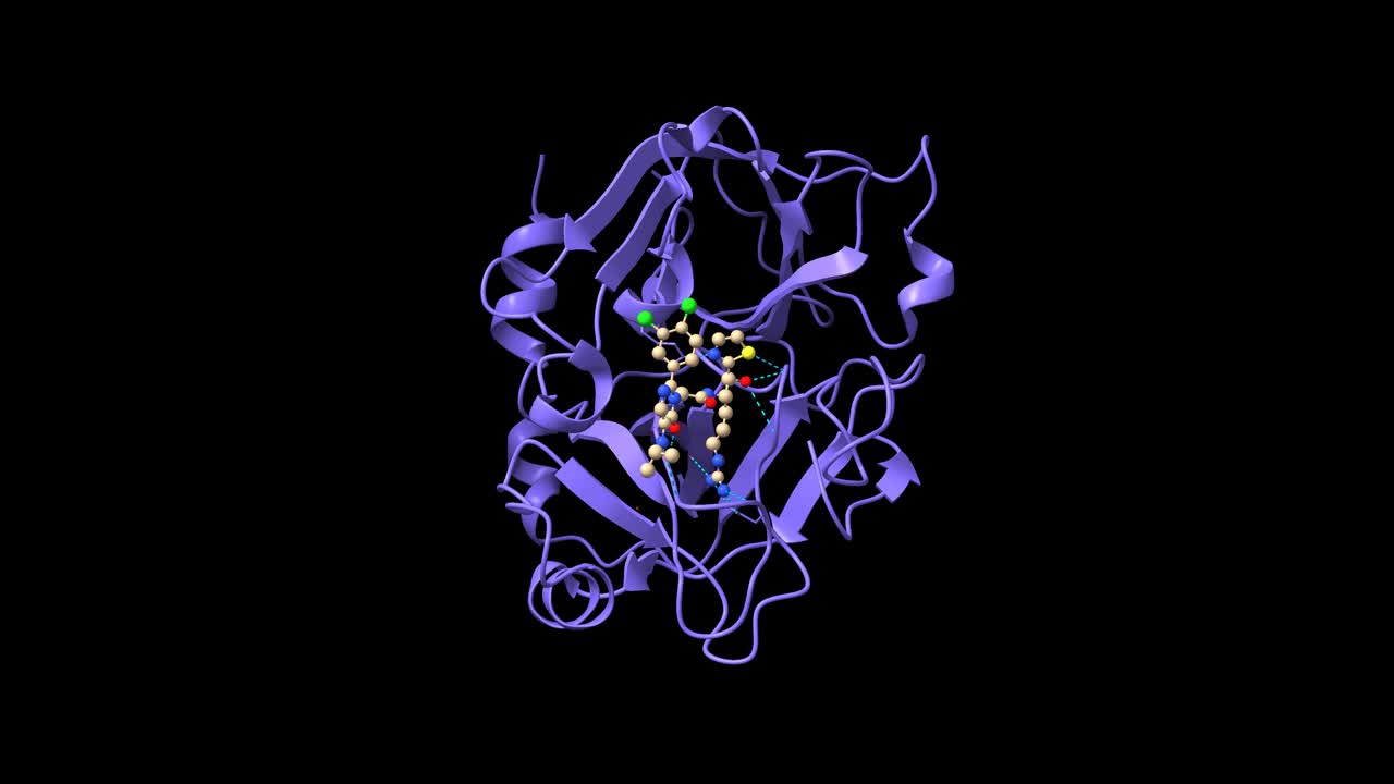 因子XI与嘧啶酮配合物的结构视频下载