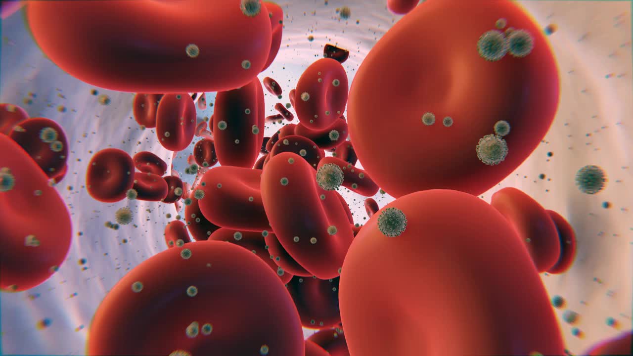 血液动画中的冠状病毒，SARS-CoV-2病毒的3D模型和动脉中的红细胞，通过静脉流动视频素材
