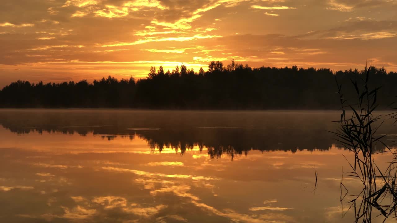 黄金时刻，湖上日落天空，地平线上森林的轮廓视频素材